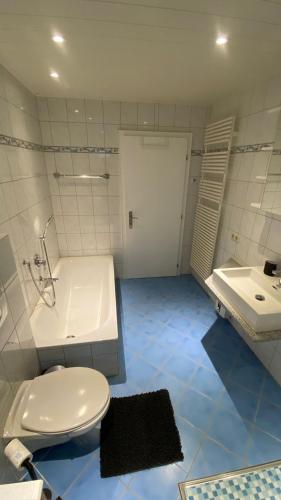 La salle de bains est pourvue de toilettes blanches et d'un lavabo. dans l'établissement Am Sonnenberg, à Reichelsheim