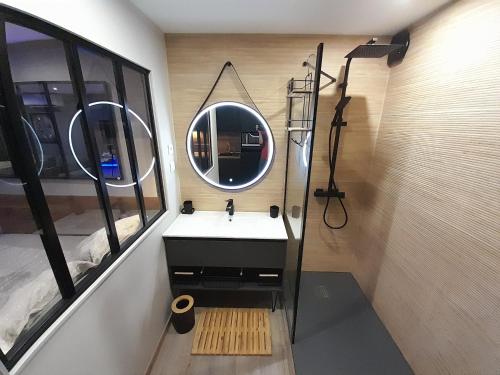 une salle de bain avec un lavabo et un miroir dans l'établissement Appartement Village Naturiste Sensuel, au Cap d'Agde
