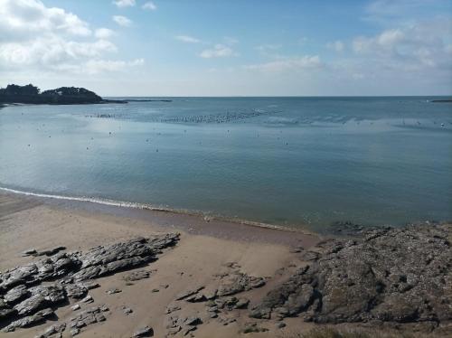 a beach with a bunch of birds in the water at GITE ARC EN CIEL BLEU in Férel
