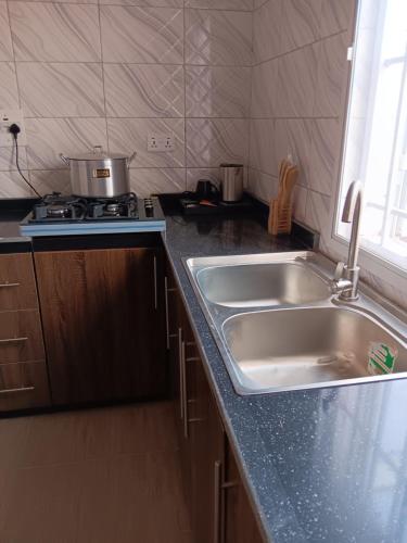 a kitchen with a sink and a stove at Elimus Apartments & Suites 