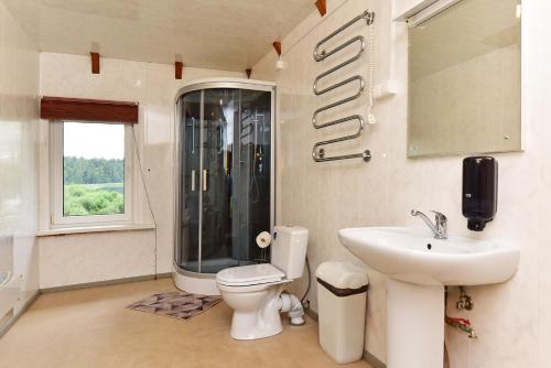 a bathroom with a toilet and a sink and a shower at Namas su vaizdu į ežerą "Giliaus Nendrė" in Tytuvėnai