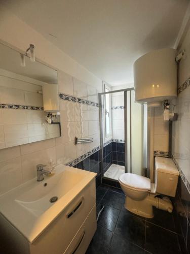 une salle de bain avec un lavabo, des toilettes et une douche dans l'établissement VILLA GEORGIA, à Nice