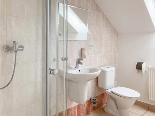 a bathroom with a toilet and a sink and a shower at Penzion Na Stavidle in Uherské Hradiště