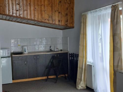 een keuken met een aanrecht, een wastafel en een koelkast bij Vila Foc Alb Apartamente-Busteni in Buşteni
