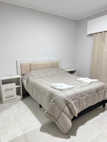 a bedroom with a bed and a table and a bedskirtspectspects at RIFFEL 2 in Libertador San Martín