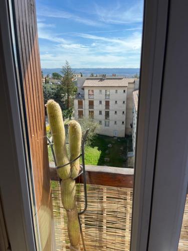 a cactus on a window with a view of a building at Tita in Manosque