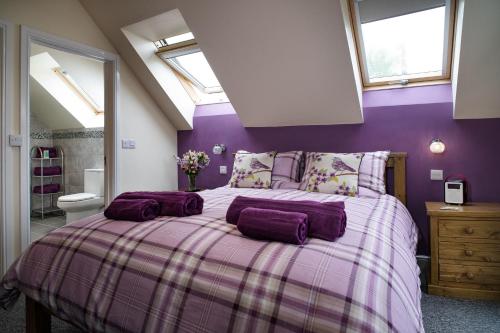 sypialnia z łóżkiem z fioletowymi ścianami i oknami w obiekcie Bwthyn Briallen Crymych w mieście Crymmych Arms