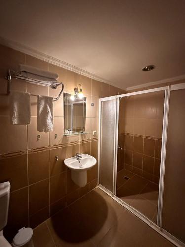 a bathroom with a shower and a sink and a toilet at Minabir Otel in Ankara