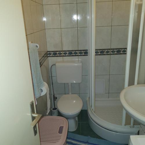 a small bathroom with a toilet and a shower at VJEKA HOME in Ploče
