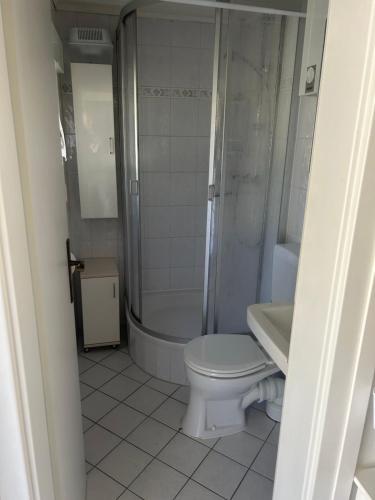 a bathroom with a toilet and a shower and a sink at Ferienhaus Fjola in Schenkendöbern
