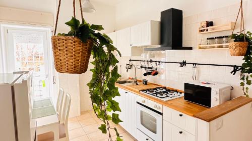 奧斯蒂亞的住宿－MareSole Apartment，一间厨房,里面装有白色的橱柜和植物
