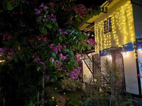 Zahrada ubytování Lily Homestay BaDen