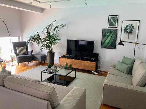 a living room with a couch and a tv at Oliveira House in Ponta Delgada