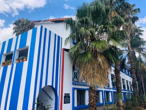 a building with blue and white stripes next to a palm tree at Elephant Springs in Bela-Bela