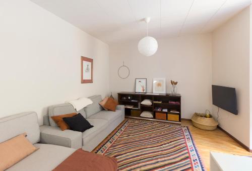 salon z kanapą i telewizorem w obiekcie Casa Parravicini w mieście Sondrio