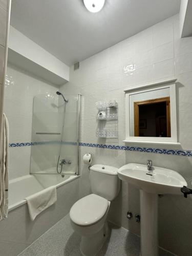 y baño con aseo, lavabo y ducha. en Casa Rural El Torrejon, en Arenas de Cabrales