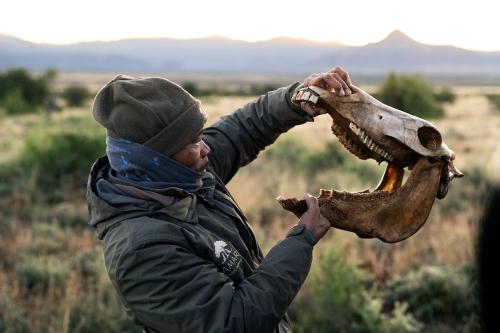 Bebidas en Samara Karoo Reserve