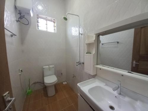 La salle de bains est pourvue d'un lavabo, de toilettes et d'un miroir. dans l'établissement Sinthia Hotel Apartments, à Chaki Chaki