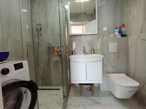 a bathroom with a shower and a toilet and a sink at Apartmani Seaside in Dobra Voda
