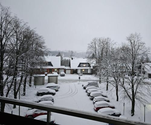 um grupo de carros estacionados num parque de estacionamento coberto de neve em Pusteblume em Altenau