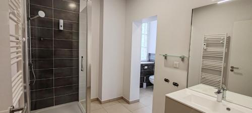 uma casa de banho com um chuveiro, um lavatório e um WC. em Le Nid Douillet - Au calme & Parking gratuit em Bergheim