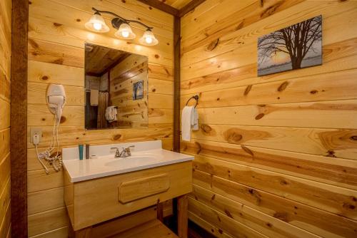 een badkamer met een wastafel en een spiegel bij The Lodge at Smoky Escape in Sevierville