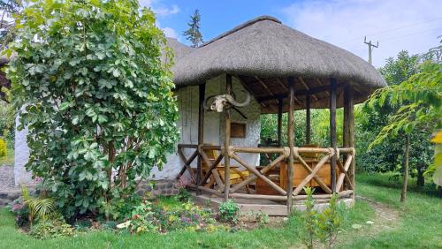 Naro Moru的住宿－Podocarpus cottages，茅草屋顶的小房子