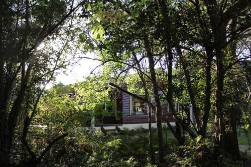 a small house in the middle of some trees at Lazy Days in Natureʼs Valley
