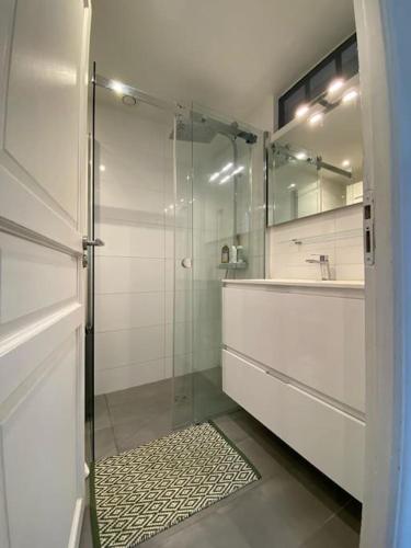 une salle de bain avec une douche en verre et un lavabo dans l'établissement Le Marais Cosy Central Paris, à Paris