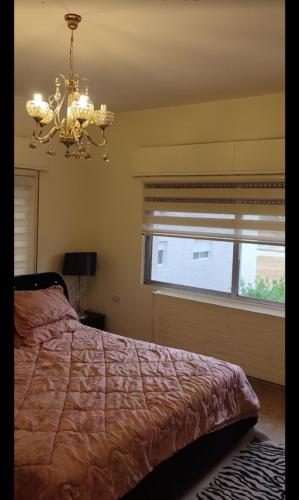 a bedroom with a bed with a chandelier and a window at apartments furnished for rent in Amman Jordan in Amman