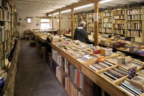 un homme debout dans une bibliothèque remplie de livres dans l'établissement Charmante Gentilhommière, à Daverdisse