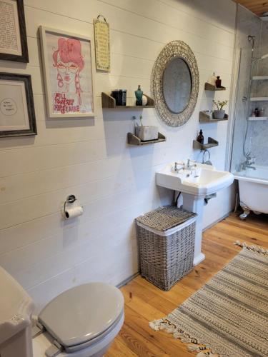 a bathroom with a toilet and a sink at The Retreat 1 bed cabin in the woods in Aylsham
