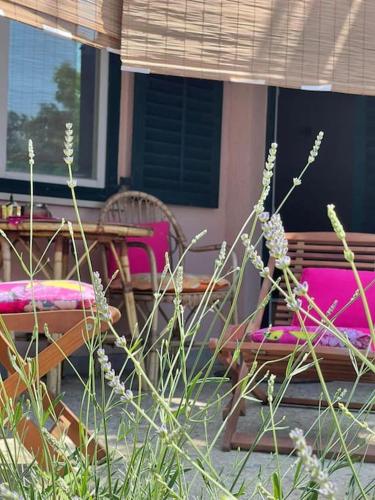 Apartman Sage, 2+1. Maslenica, Zadar