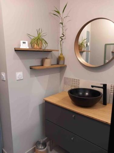 une salle de bain avec un lavabo noir et un miroir dans l'établissement Maison de la croix Marion, à Chinon