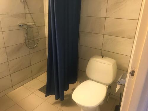 La salle de bains est pourvue d'une douche et de toilettes. dans l'établissement Setesdal Motel & Apartments, à Bygland