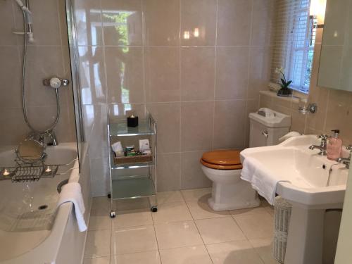 a bathroom with a toilet and a sink and a shower at Fauhope Country House in Melrose
