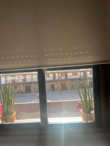 zwei Topfpflanzen, die auf einem Fensterbrett sitzen in der Unterkunft Retiro del emperador in Cuacos de Yuste