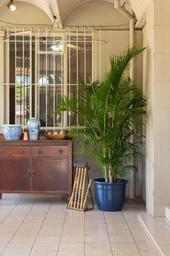 a plant in a blue pot next to a dresser at House Falcon close to ZAH in Pretoria
