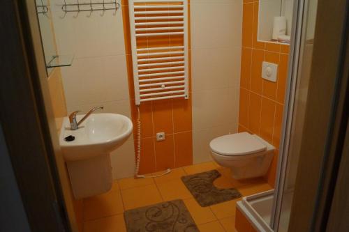 a small bathroom with a toilet and a sink at Apartmán Na Pohodu 25 in Lipno nad Vltavou