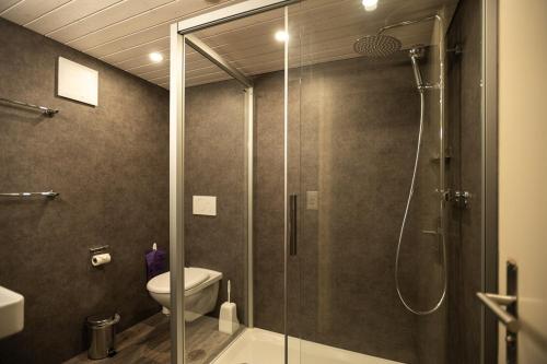 a bathroom with a glass shower with a toilet at Basic Rooms Jungfrau Lodge in Grindelwald