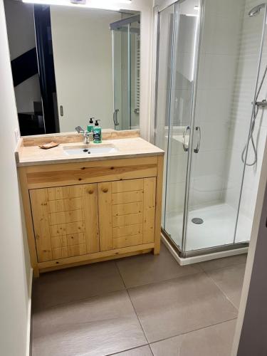 La salle de bains est pourvue d'un lavabo et d'une douche. dans l'établissement Can Bernades, à Puigcerdà