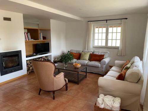 a living room with two couches and a fireplace at Casa do Olival in Tarouca