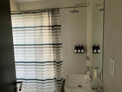 a bathroom with a shower curtain and a sink at Serenity in Godoy Cruz