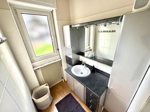 une petite salle de bain avec un lavabo et une fenêtre dans l'établissement Gîte LE RAPP, à Colmar