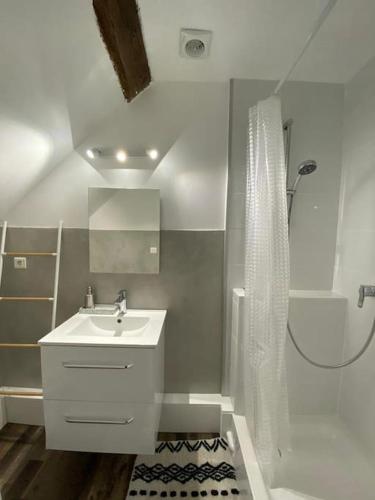 une salle de bain blanche avec un lavabo et une douche dans l'établissement Gite Le Vieux Moulin, à Saint-Dyé-sur-Loire