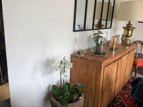 ein Zimmer mit einem Tisch mit einer Lampe und Pflanzen in der Unterkunft Appartement cosy la trinité sur mer in La Trinité-sur-Mer