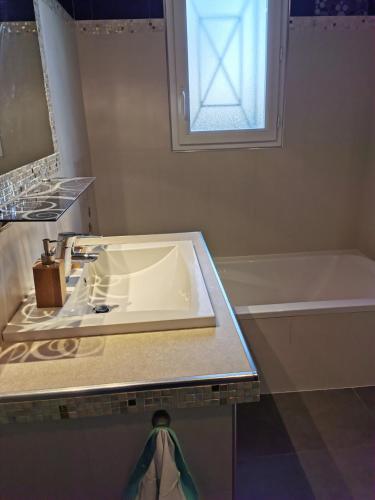 une salle de bain avec un lavabo et une baignoire dans l'établissement Maison de la Solinoise, à Sainte-Soulle