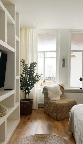 a bedroom with a bed and a chair and a plant at Het sfeerhuis aan zee in Vlissingen