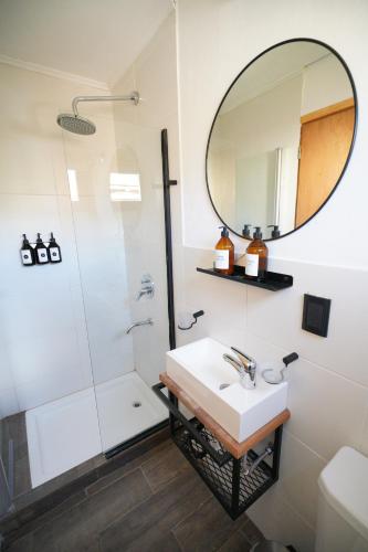 a bathroom with a shower and a sink and a mirror at Güer Aike Mejor Tiny house c/ vista al Fitz Roy in El Chalten