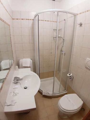 a bathroom with a shower and a sink and a toilet at Hotel Mariano in Rome